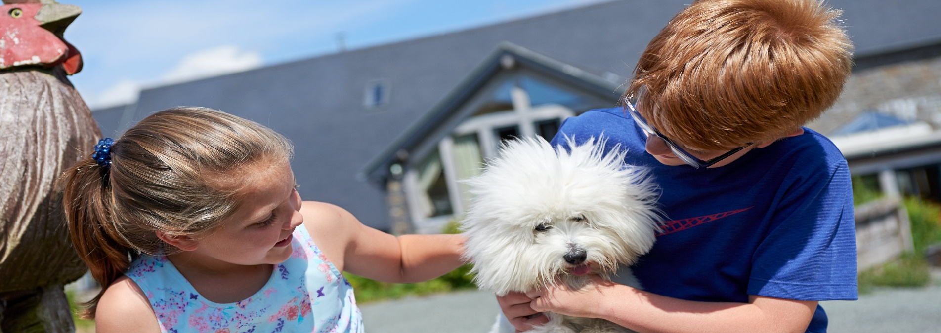 	dog friendly accommodation aberystwyth, pet friendly holidays wales